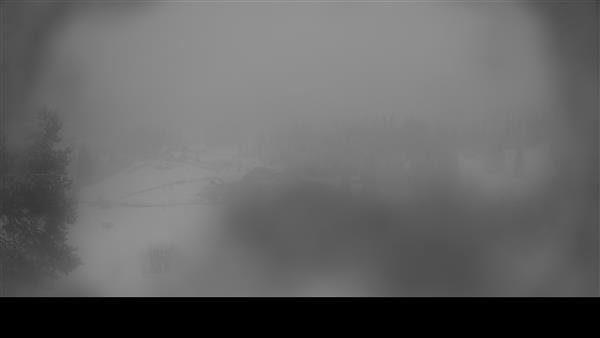 16.02.2026 - 12:00 16.02.2026 - 12:00