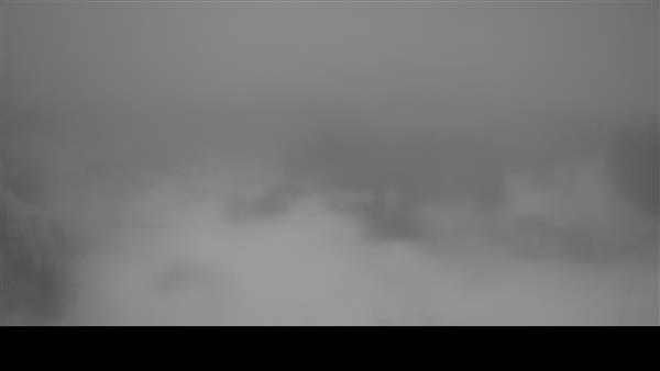 19.02.2026 - 12:00 19.02.2026 - 12:00