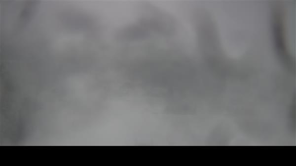 21.02.2026 - 12:00 21.02.2026 - 12:00