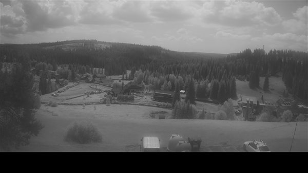 29.06.2026 - 12:00
