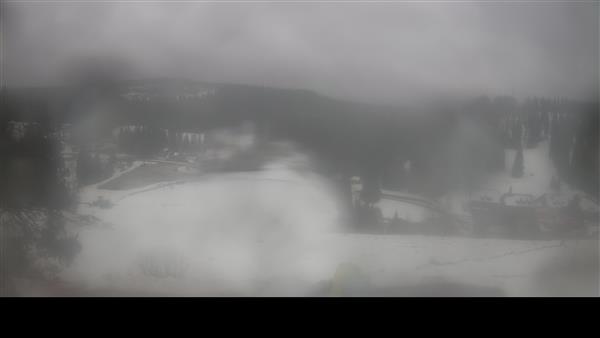 11.02.2026 - 16:00 11.02.2026 - 16:00