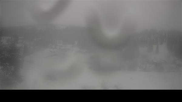 16.02.2026 - 16:00 16.02.2026 - 16:00