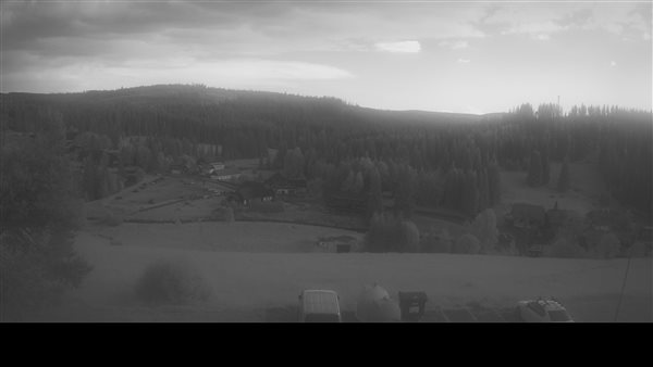 28.06.2026 - 16:00