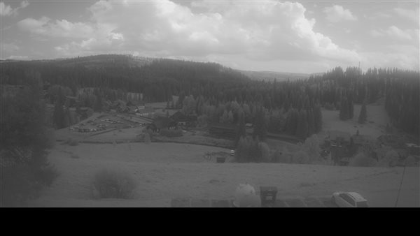 18.07.2026 - 16:00