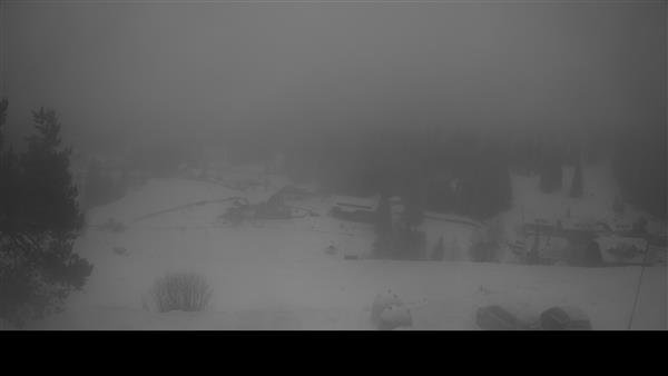 08.01.2026 - 08:00 08.01.2026 - 08:00