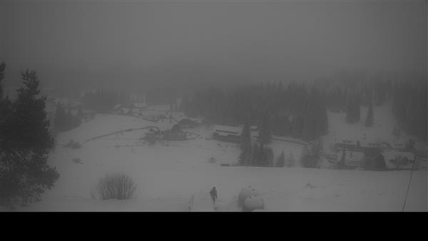 09.01.2026 - 08:00 09.01.2026 - 08:00