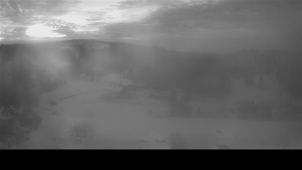 03.02.2026 - 08:00 03.02.2026 - 08:00