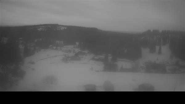 04.02.2026 - 08:00 04.02.2026 - 08:00