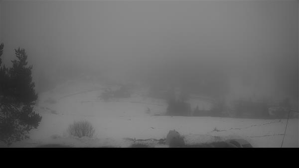 07.02.2026 - 08:00 07.02.2026 - 08:00