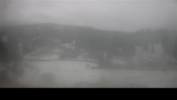 12.02.2026 - 08:00 12.02.2026 - 08:00