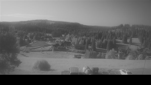 29.06.2026 - 08:00