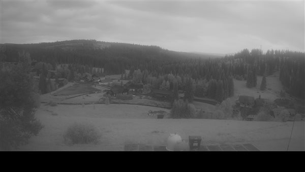 08.07.2026 - 08:00