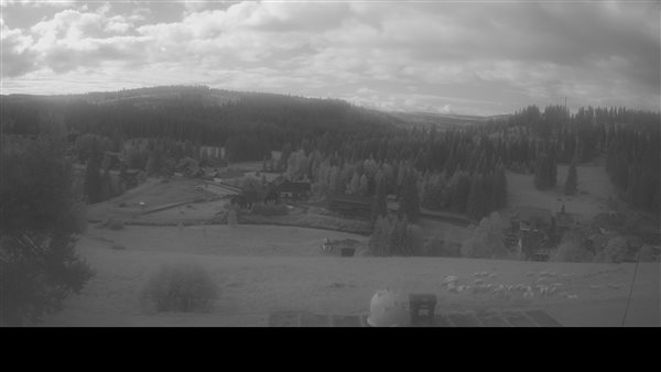 09.07.2026 - 08:00