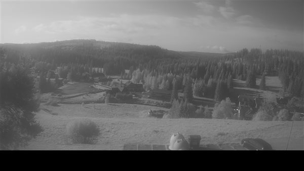 15.07.2026 - 08:00