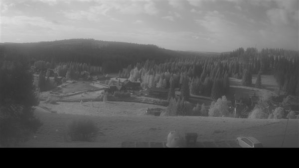 19.07.2026 - 08:00