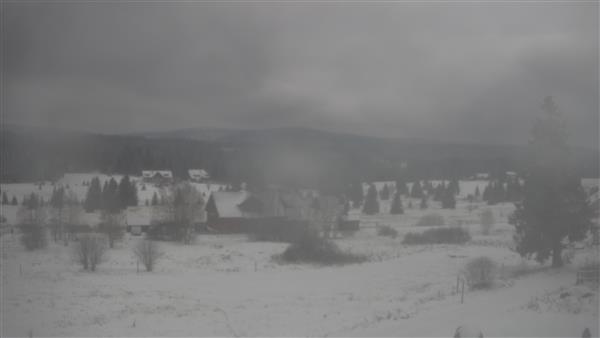 21.11.2025 - 12:00 21.11.2025 - 12:00