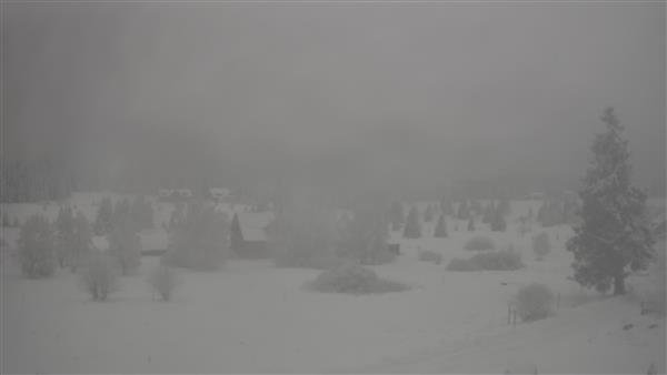 26.11.2025 - 12:00 26.11.2025 - 12:00