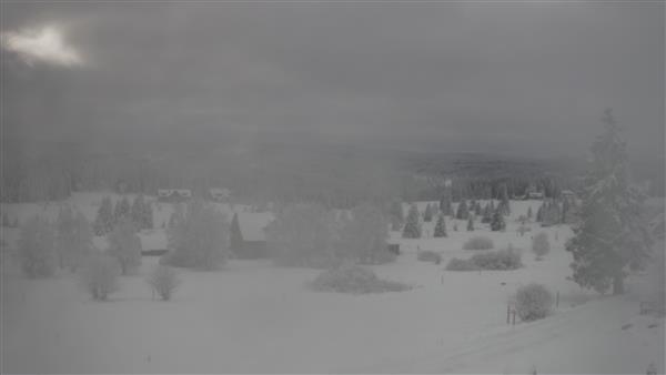 27.11.2025 - 12:00 27.11.2025 - 12:00