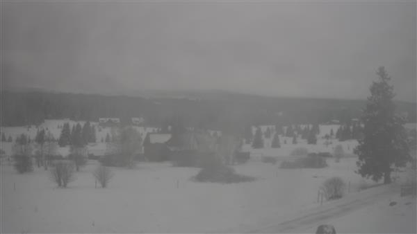 29.11.2025 - 12:00 29.11.2025 - 12:00