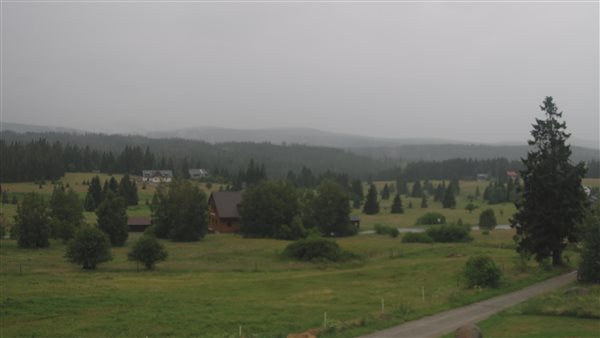 01.07.2026 - 12:00