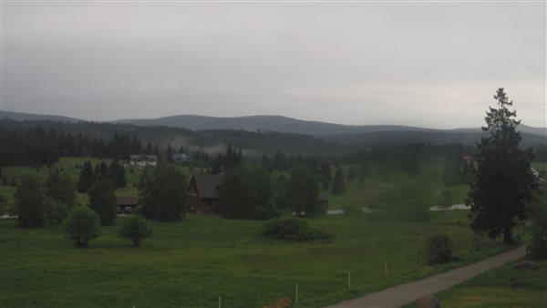 31.05.2026 - 16:00 31.05.2026 - 16:00