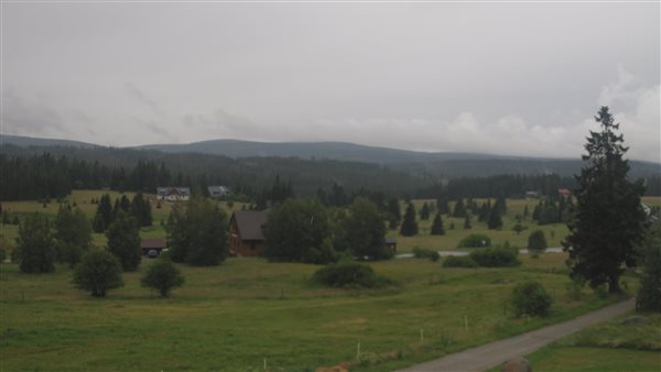 01.07.2026 - 16:00