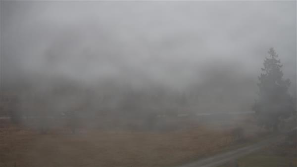 17.11.2025 - 08:00 17.11.2025 - 08:00