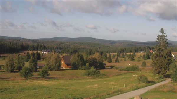 20.07.2026 - 08:00