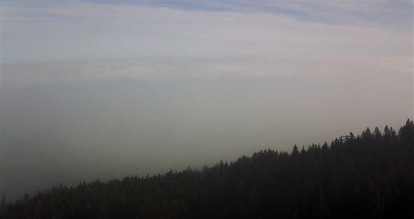 20.01.2025 - 12:00 20.01.2025 - 12:00