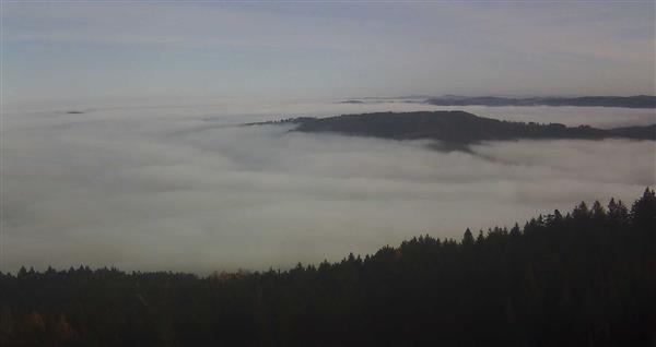 16.11.2025 - 12:00 16.11.2025 - 12:00