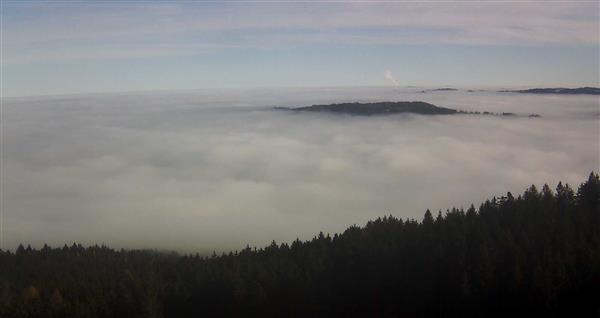 30.11.2025 - 12:00 30.11.2025 - 12:00