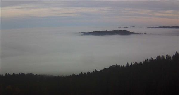 30.11.2025 - 16:00 30.11.2025 - 16:00