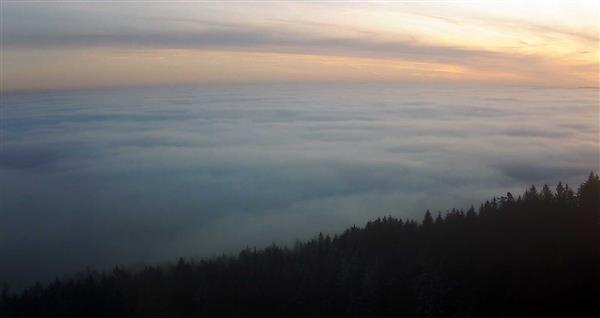 20.01.2025 - 08:00 20.01.2025 - 08:00