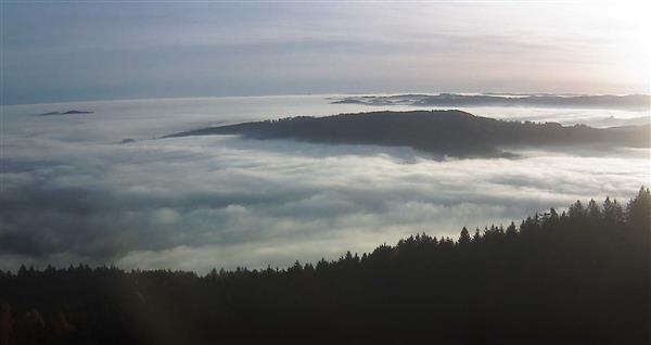 13.11.2025 - 08:00 13.11.2025 - 08:00