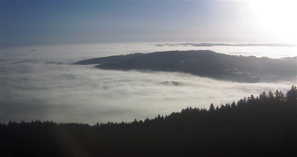 02.03.2026 - 08:00 02.03.2026 - 08:00