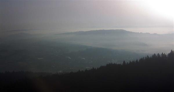 08.03.2026 - 08:00 08.03.2026 - 08:00