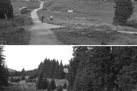 Porovnávací snímek z let 1937 a 2025 s křižovatkou cest - před odbočkou měla stát turistická útulna, za odbočkou byl připravený pozemek na domek lesního personálu jež se nakonec postavil opodál nad hájenkou