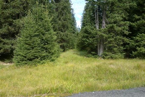 Křižovatka s odbočkou v roce 2025, místo je zamokřené