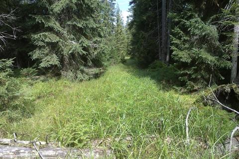 Křižovatka s odbočkou v roce 2025, místo je zamokřené