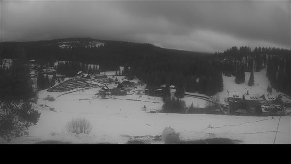 07.02.2026 - 12:00 07.02.2026 - 12:00