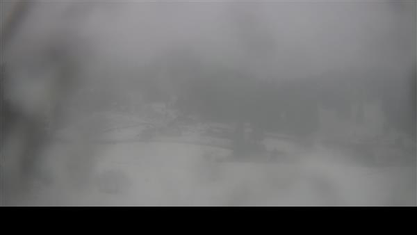 13.02.2026 - 08:00 13.02.2026 - 08:00