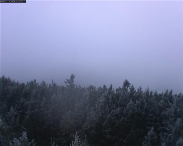 21.11.2025 - 08:00 21.11.2025 - 08:00