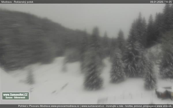 09.01.2026 - 12:00 09.01.2026 - 12:00