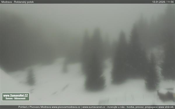 13.01.2026 - 12:00 13.01.2026 - 12:00