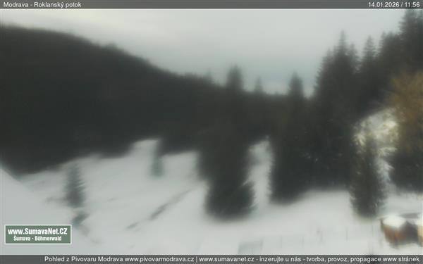 14.01.2026 - 12:00 14.01.2026 - 12:00