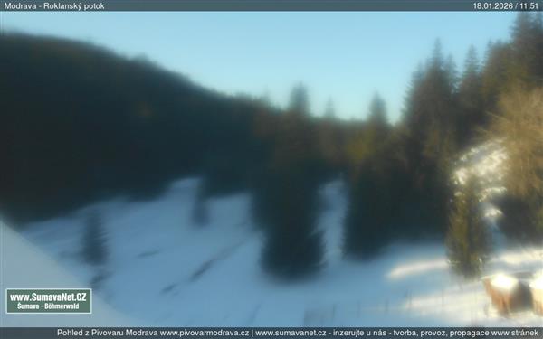 18.01.2026 - 12:00 18.01.2026 - 12:00