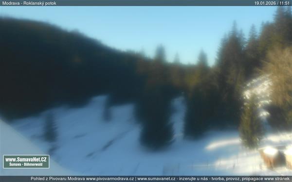 19.01.2026 - 12:00 19.01.2026 - 12:00