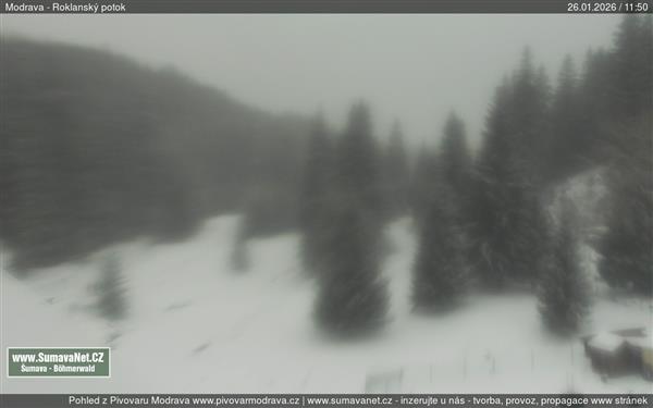 26.01.2026 - 12:00 26.01.2026 - 12:00