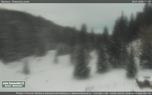 28.01.2026 - 12:00 28.01.2026 - 12:00