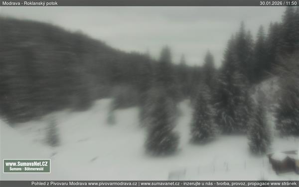 30.01.2026 - 12:00 30.01.2026 - 12:00